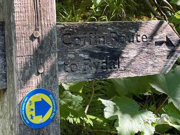 C2C Signage |  Tegan Pereira