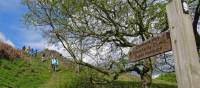 Hikers on the Cleveland Way | John Millen