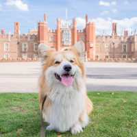 A special visitor to Hampton Court Palace | Aurelie Four - Visit Britain