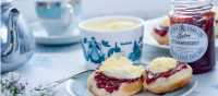 A traditional Cornish afternoon tea with jam and cream | David Griffen