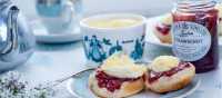 A traditional Cornish afternoon tea with jam and cream | David Griffen