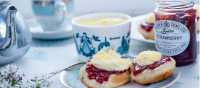 A traditional Cornish afternoon tea with jam and cream | David Griffen