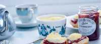 A traditional Cornish afternoon tea with jam and cream | David Griffen