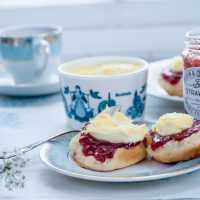 A traditional Cornish afternoon tea with jam and cream | David Griffen