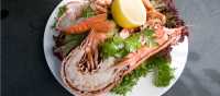 Delicious Cornish Seafood | Matt Jessop