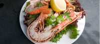Delicious Cornish Seafood | Matt Jessop