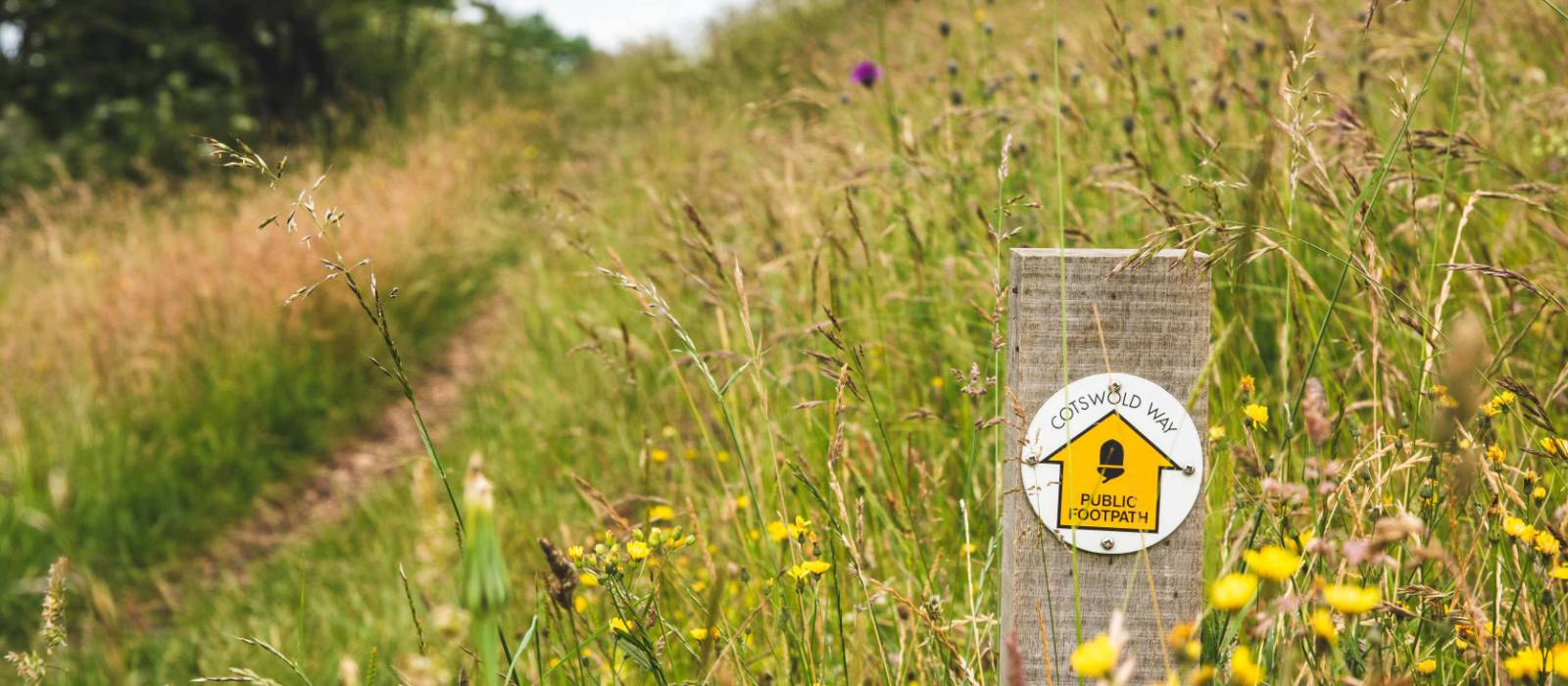 Waymarking on the Cotswold Way | Tom McShane