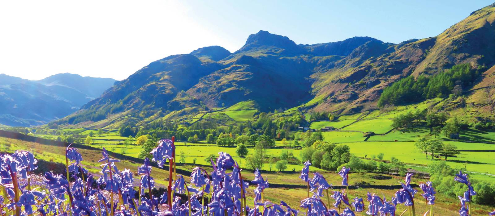 Bluebells and the pikes, Great Langdale | John Millen