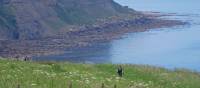 The coastal path at the start of the Coast to Coast | John Millen