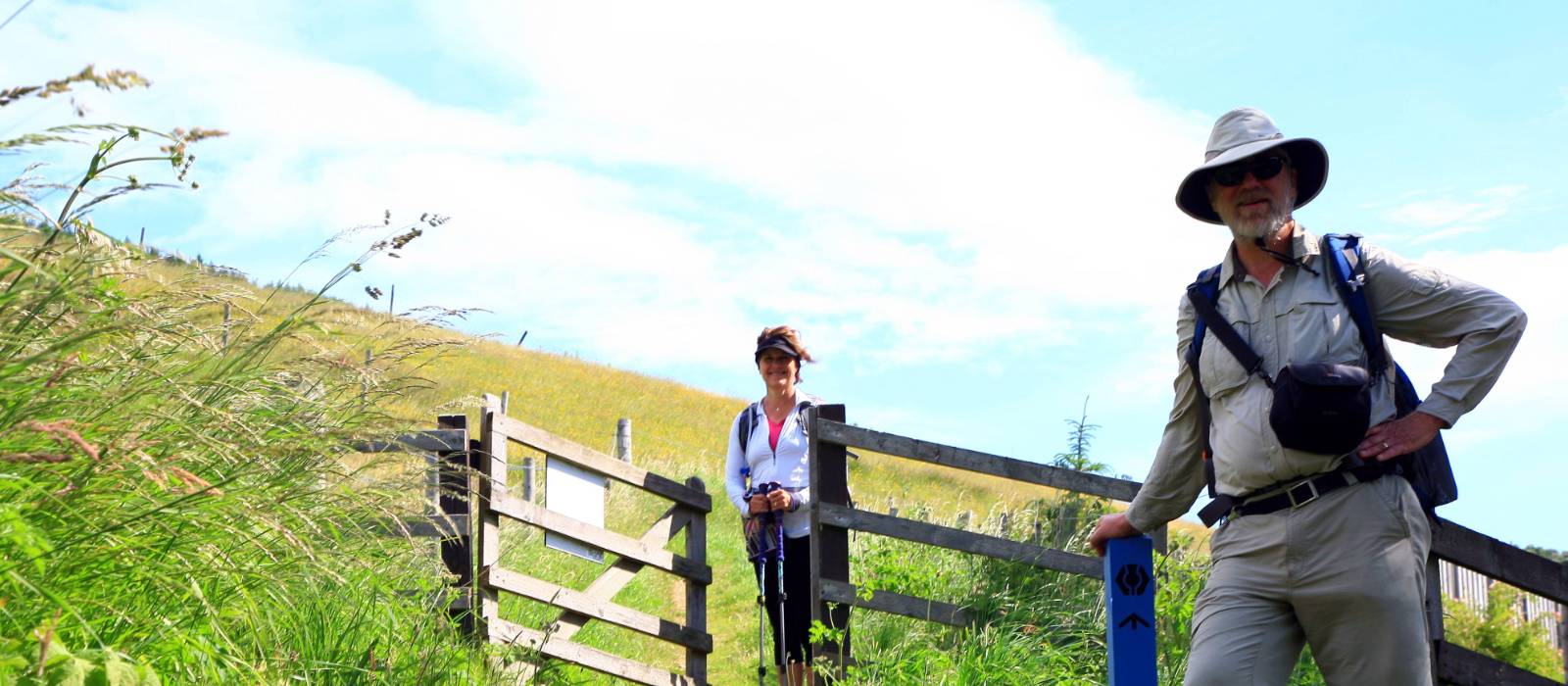 On the Great Glen above Drumnadrochit