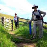 On the Great Glen above Drumnadrochit