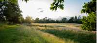 England's Meadows by the Thames Path | Visit Britain