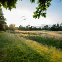 England's Meadows by the Thames Path | Visit Britain