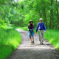 Forest track near Rowardennan, Scotland