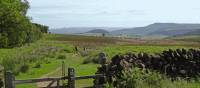 The North York Moors near Osmotherley | John Millen