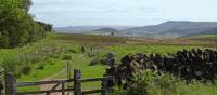 The North York Moors near Osmotherley | John Millen