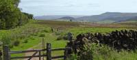 The North York Moors near Osmotherley | John Millen