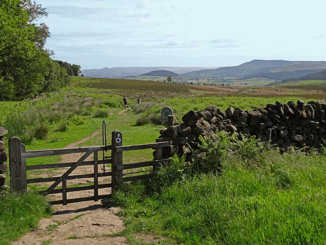 The North York Moors near Osmotherley |  John Millen