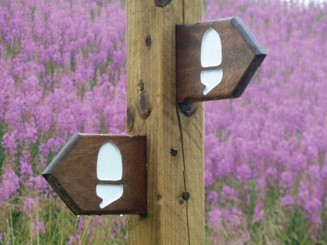 Hadrian's wall Waymark