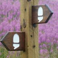 Hadrian's wall Waymark