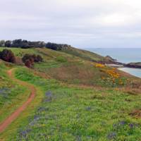 Herm is a gem of an island, walk on its grassy commons | Nathalie Thompson