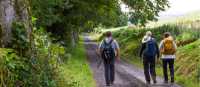Perthshire Hikers | Nature's Charm