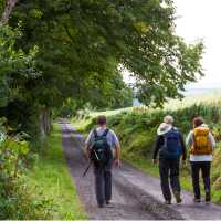 Perthshire Hikers | Nature's Charm