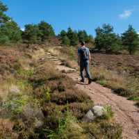 Hiking in the Cairngorm National Park | Madeleine Deaton - Shutterstock