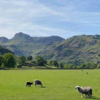 Explore the stunning Cumbrian countryside on an active holiday | C. Johnson