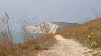 On the path to Freshwater Bay for stunning views, Back of the Wight | Call Me Fred