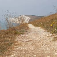On the path to Freshwater Bay for stunning views, Back of the Wight | Call Me Fred
