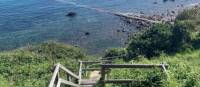 The steps taking you down to Ventnor Bay, Isle of Wight | Natasha Ward