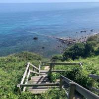 The steps taking you down to Ventnor Bay, Isle of Wight | Natasha Ward