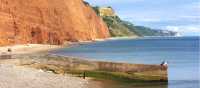 Cliffs on the Jurassic Coast near Sidmouth | Nigel Reeve