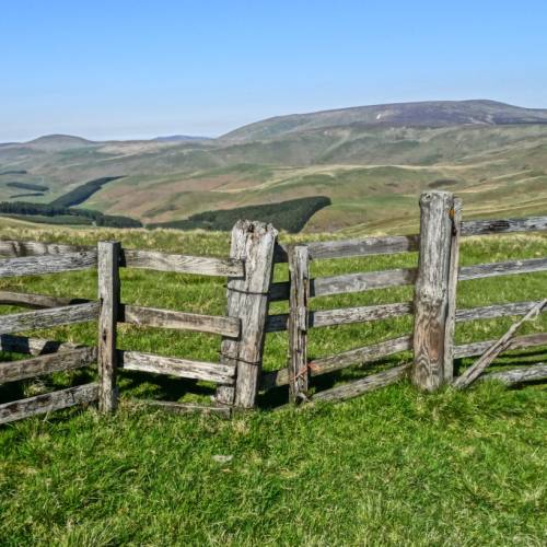 Rickety fences  on the Scottish border hills