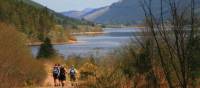 Loch Lochy Towards Laggan