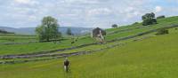 Meadow walking to Kirkby Stephen | John Millen