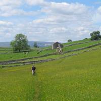 Meadow walking to Kirkby Stephen | John Millen