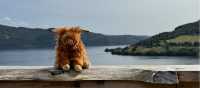 Meeting the Locals on the Great Glen Way | Loch Ness Hub