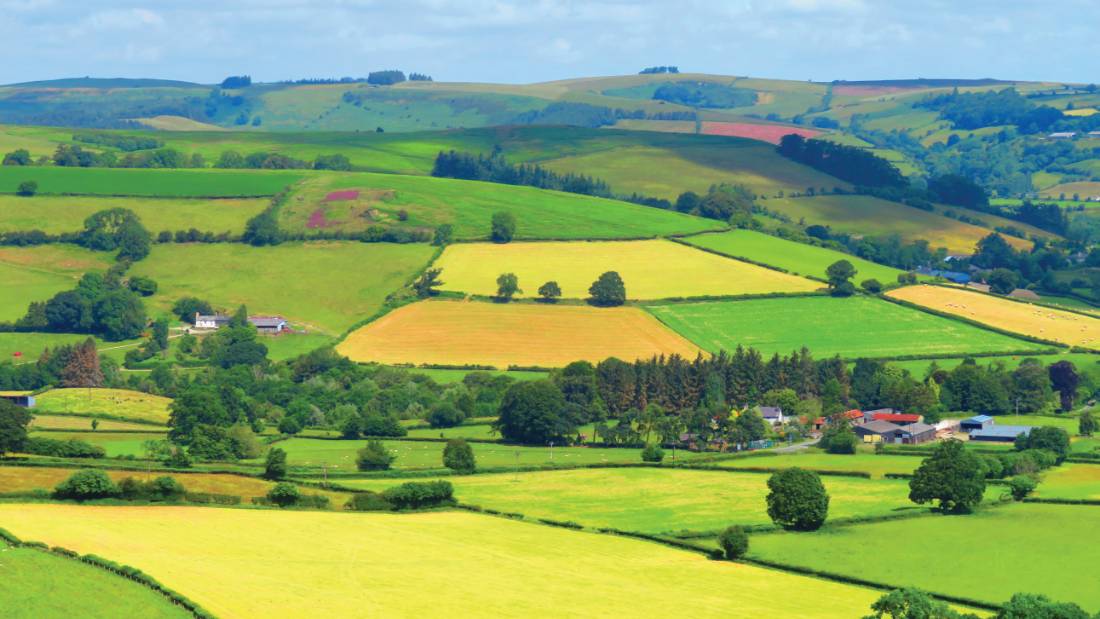  Colourful pastures on Offa's Dyke