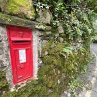 Old Post Box, Grasmere | Fiona Marshall