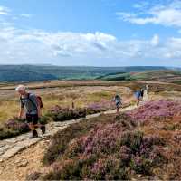 On the North York Moors - Coast to Coast | Jon Millen