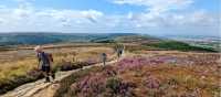 On the North Yorkshire Moors - Coast to Coast | Jon Millen