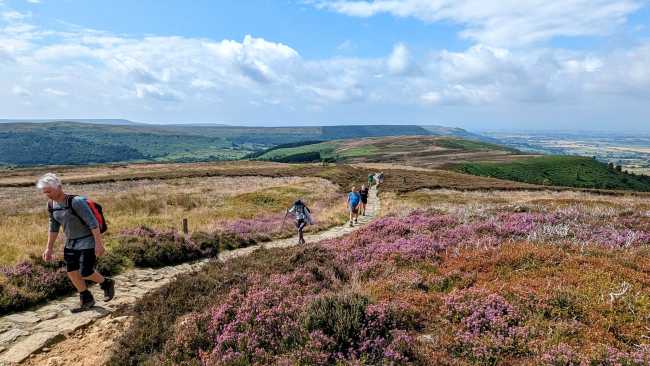 On the North Yorkshire Moors - Coast to Coast | Jon Millen