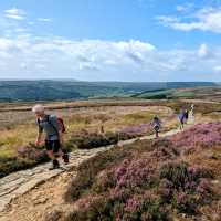 On the North Yorkshire Moors - Coast to Coast | Jon Millen