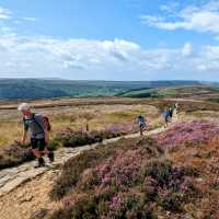 On the North Yorkshire Moors - Coast to Coast | Jon Millen