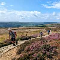 On the North Yorkshire Moors - Coast to Coast | Jon Millen