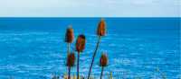 Sea views on the South West Coast Path near Exmouth | Diego Torres