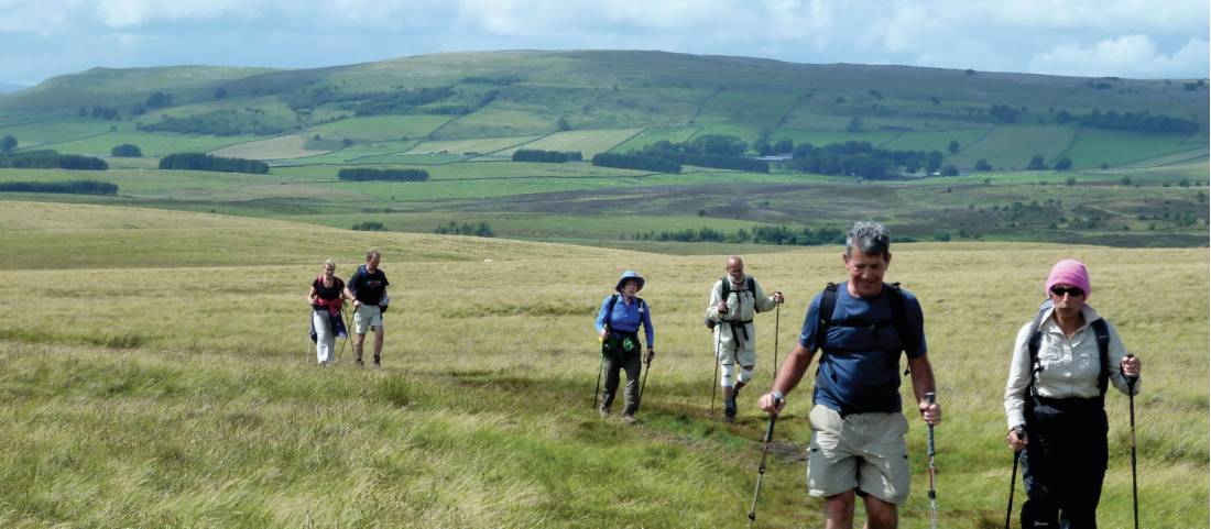 On the moors near Orton Scar, England