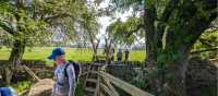 Follow Hadrian's Wall in England on a guided hiking holiday | John Millen